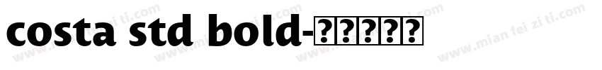 costa std bold字体转换